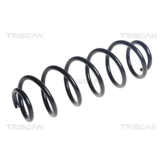 Triscan Feder hinten Seat Ibiza VW Polo 875029545