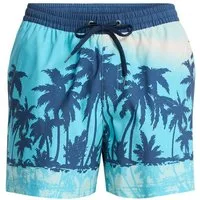 Quiksilver Boardshorts Everyday Printed Volley 15"