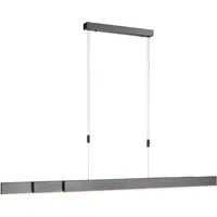 Neuhaus PURE LED Pendelleuchte PURE Moto, CCT - über Fernbedienung, LED fest integriert, warmweiß - kaltweiß, e-SLIDE® Funktion, CCT, dimmbar, Fernbedienung