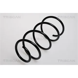 Triscan Feder hinten Alfa Romeo 147 156 Gt
