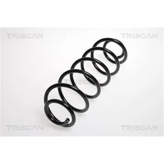 Triscan Feder hinten Citroen C3 87502897