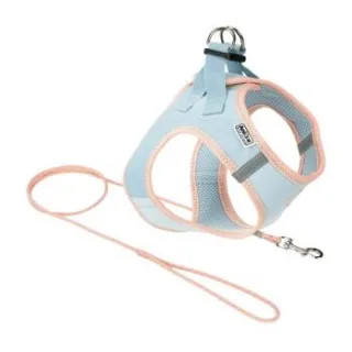 AniOne Pepe&Kitty Welpenset blau & apricot XXXXS