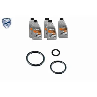 Vaico Teilesatz f?r Automatikgetriebe-?lwechsel BMW Citroen DS Mini Opel Peugeot VW Volvo V20-4670