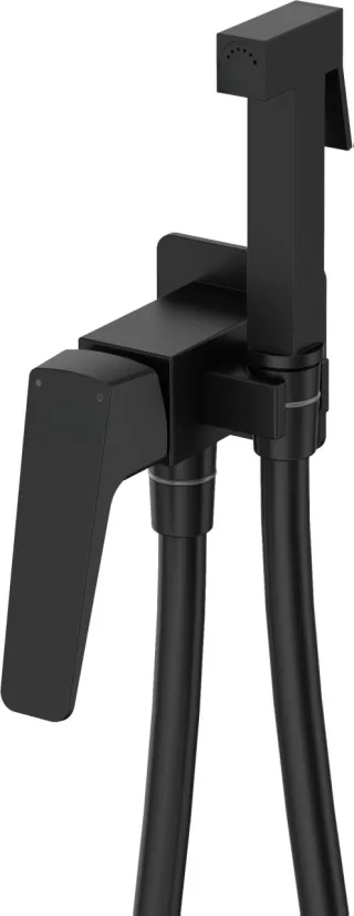 Neuesbad Serie 660 Unterputz-Bidetarmatur mit Bidet-Handbrause, Schwarz NB1DEBQLN34M1