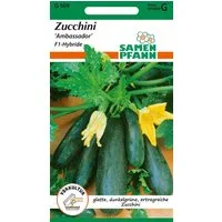 SAMEN PFANN Gemüsesamen Zucchini, Ambassador - Saatgut Zucchini-Samen Samen, Cucurbita pepo
