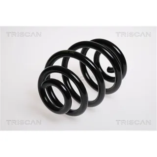 Triscan Feder hinten BMW 3er E46 316 318 320