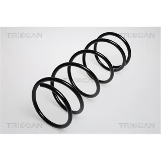 Triscan Feder vorne Ford Focus 1 1,6