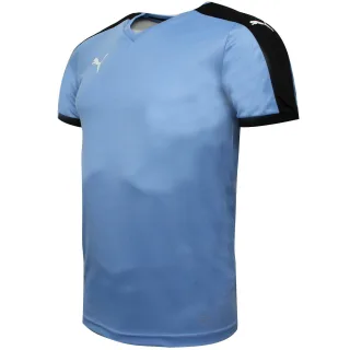 Puma Pitch kurzärmeliges Hemd Training Fitnessstudio T -Shirt Blue - Herren