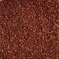 Eurosand Aquarienkies Aquarienkies farbig 2-3 mm Rundkies Bodengrund 5 kg