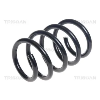 Triscan Feder vorne Audi A3 8V 2,0 875029398
