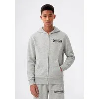 Champion Kapuzensweatjacke SPORTWEAR ZIP-UP HOODIE Standard Fit für Kinder und Jugendliche, mit sportlichem Charakter, Standard Fit