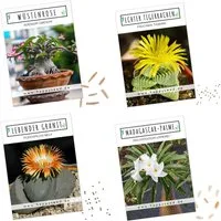 HappySeed Blumensamen Exotische Kakteen Samen mit hoher Keimrate - 4er Set Samen Mix, Kakteen