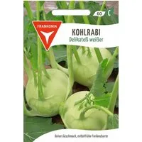 FRANKONIA Gemüsesamen Kohlrabi, Delikatess weißer - Kohlrabi-Samen Saatgut Samen, Brassica oleracea