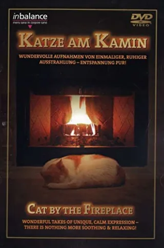 Katze am Kamin