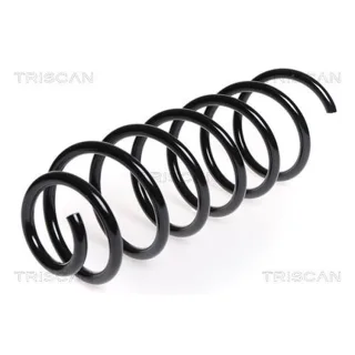 Triscan Feder hinten Citroen Berlingo C4 Peugeot Partner 875028134