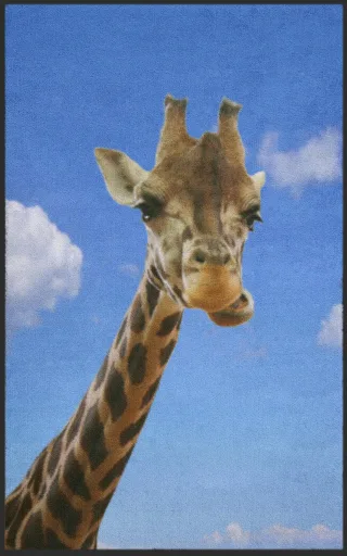 Fussmatte Giraffe 7101 | Größe: 60 cm x 90 cm