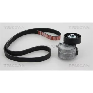 Triscan Keilrippenriemensatz Citroen Fiat Ford Lancia Peugeot Volvo 2,0