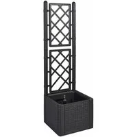 Kreher Pflanzkübel Kreher Spaliere in Rattan-Optik in Anthrazit (Größe wählbar) (1 St)