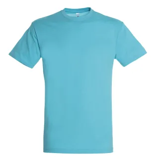 SOLS Herren Regent T-Shirt mit kurzen Ärmeln (Aqua)
