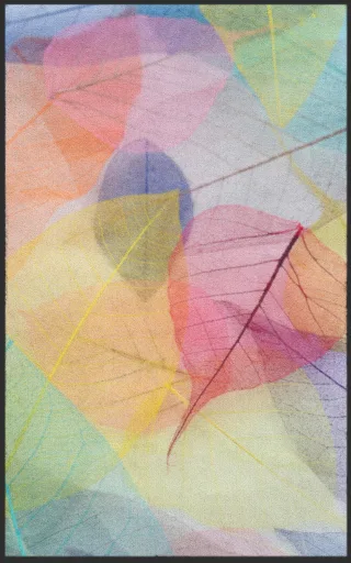 Fussmatte 7164 | Größe: 60 cm x 90 cm