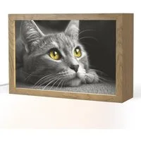 OnlyWow Tischleuchte Lightbox Katze - Schwarz - Weiß - Tiere - Natur, Dimmbar, Farbwechsel, LED, Warmweiß, Kaltweiß, Neutralweiß Einstellbar, Tischlampe, Schreibtischlampe, Desk, Dimmbar, mit Kabel, LED