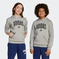 adidas Sportswear Kapuzensweatshirt SEASONALS ESSENTIALS COLLEGIATE TYPOGRAPHY KIDS HOODIE