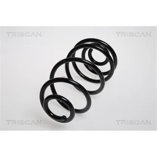 Triscan Feder hinten Opel Astra H 875024130