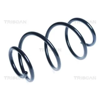 Triscan Feder Vorne Hyundai I30 87504384