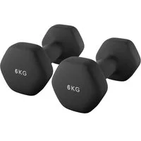 SONGMICS Hantel-Set 2er Set Kurzhanteln, Hexagon, Neopren-Beschichtung, Krafttraining, Workout, Fitnesstraining, für Zuhause