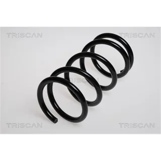Triscan Feder hinten Toyota Rav 4 1 2,0