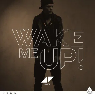 Wake Me Up (2-Track)