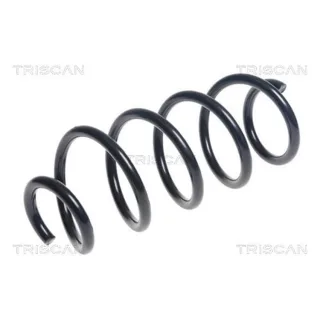 Triscan Feder Hinten Dacia Duster 875025129
