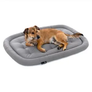 Doctor Bark Pointer Hundekissen hellgrau L