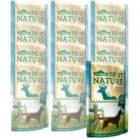 Dehner Best Nature Adult, versch. Sorten im Beutel, 12 x 150 g (1.8 kg) Wild, Nassfutter für: Hunde, Nassfutter für ausgewachsene Hunde