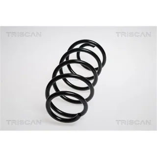 Triscan Feder vorne Skoda Superb VW Cc Passat 875029208