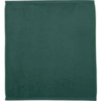 ROSS Geschirrtuch Küchen-Frottiertuch, 50x50 cm, (Set, 2-tlg), vielseitig einsetzbarer Küchenhelfer aus 100% Baumwolle, unifarben