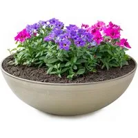 matches21 HOME & HOBBY Blumentopf Runde bauchige 25 cm Pflanzschale für draussen, champagner beige (1 St), Wetterfeste Blumen-Schale als moderne Gartendeko Grabschmuck