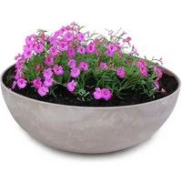 matches21 HOME & HOBBY Blumentopf Runde bauchige 20 cm Pflanzschale für draussen, sand marmoriert (1 St), Wetterfeste Blumen-Schale als moderne Gartendeko Grabschmuck