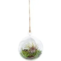 meinvipshop Hängedekoration Miniaturgarten im Glas zum aufhängen 12cm "handmade" (1 St)