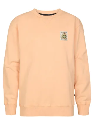 Petrol Industries - Boys Sweater Round Neck Print tropical orange - Gr. - 176