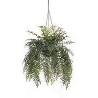 Gestecke Farn Blumenampel MAXROL, Erdballen, Wurzeln, hängend, grün, 85cm, artplants, Höhe 85.0 cm