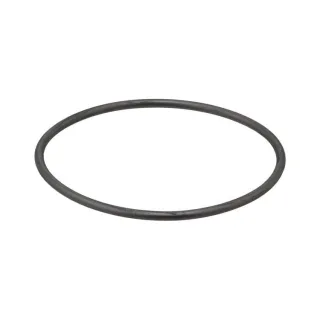 Elring Dichtung f?r Wasserpumpe Audi Volvo VW