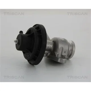 Triscan AGR-Ventil Seat Skoda VW 881329034