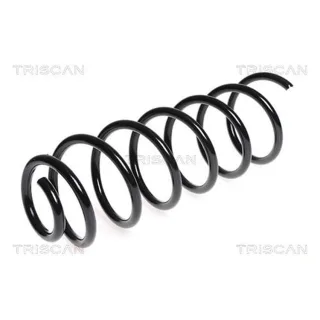 Triscan Feder hinten Citroen Berlingo C4 Peugeot Partner 875028135