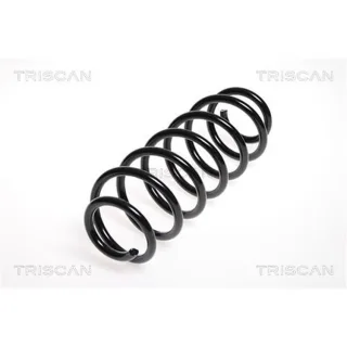 Triscan Feder hinten Audi A2 875029172