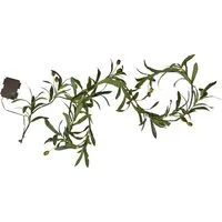 STAR TRADING LED-Lichterkette Olivec, 20-flammig, 20 warmw. LEDs, ca. 1,8 m, Batterie, Timer, outdoor, Vierfarb-Karton