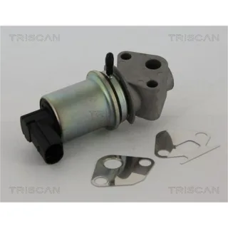 Triscan AGR-Ventil Seat Cordoba Ibiza Skoda Fabia VW Polo