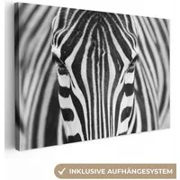 OneMillionCanvasses® Leinwandbild Zebra - Tiere - Schwarz und weiß - Porträt, Fotodruck (1 St), Leinwand Bilder Klein, Wand Dekoration Aesthetic 30x20 cm