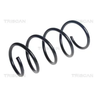 Triscan Feder vorne Seat Ibiza VW Polo