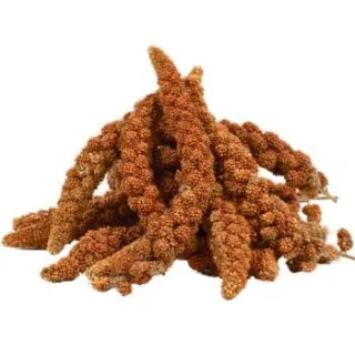 Lyra Pet Kolbenhirse rot 4 kg